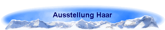 Ausstellung Haar